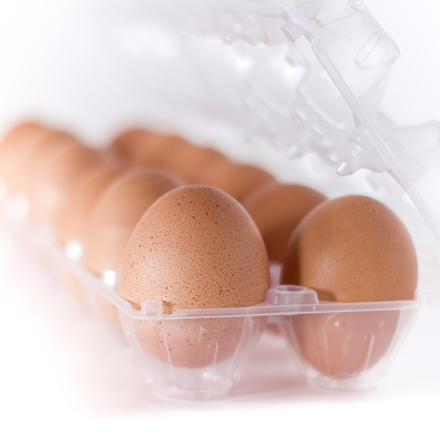 Eier im Plastikbehälter