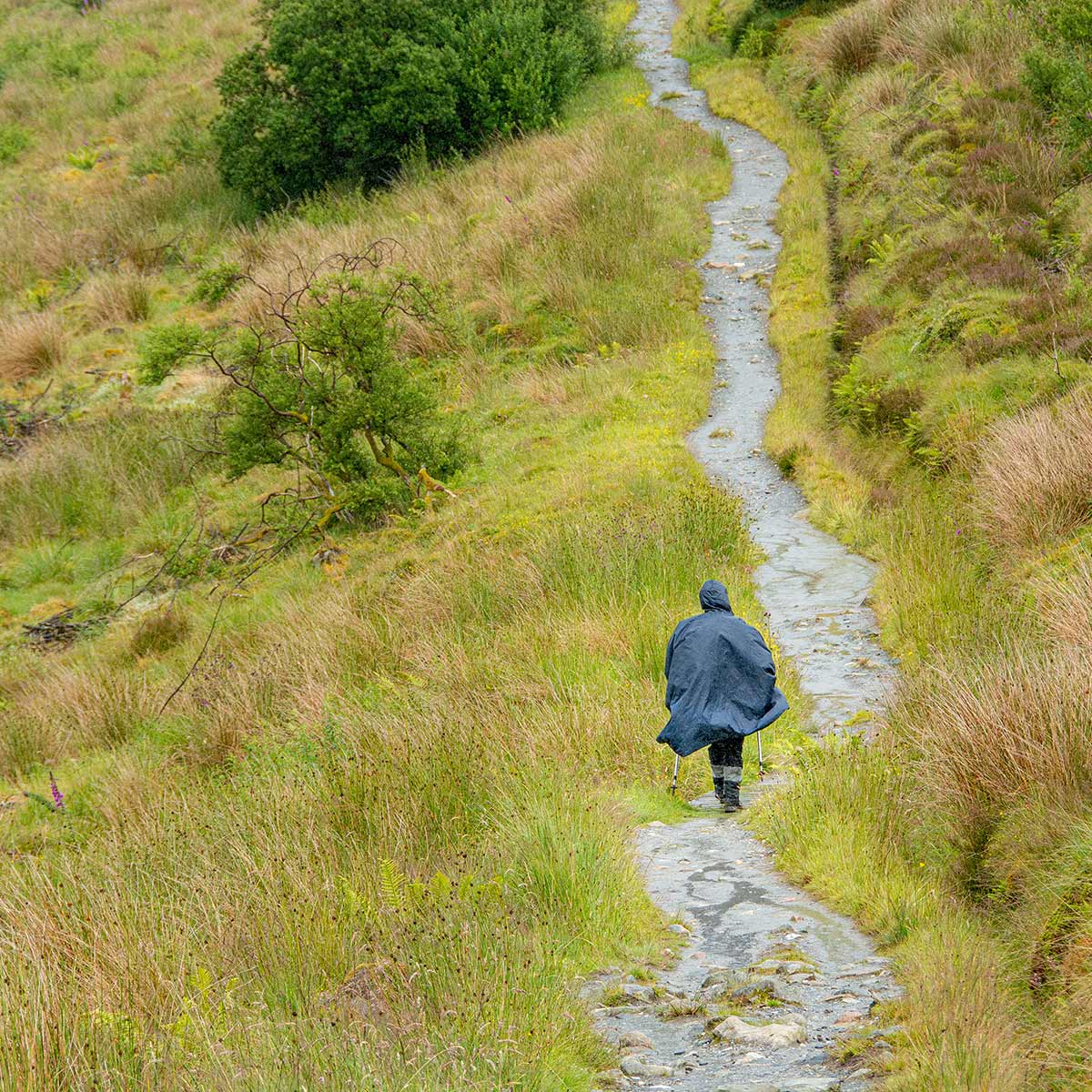 Einsamer Wanderer im Regen