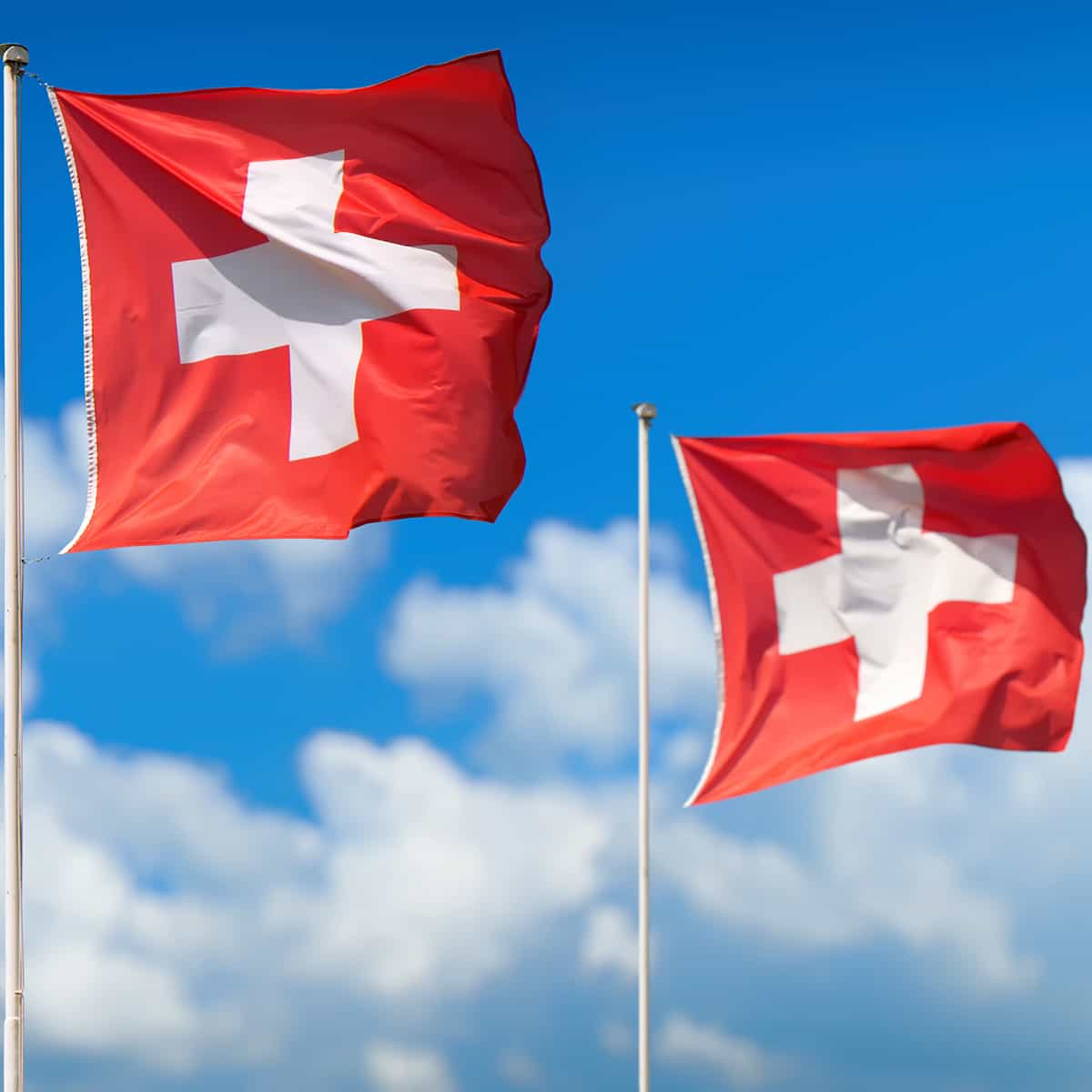 Schweizer Flaggen im Wind